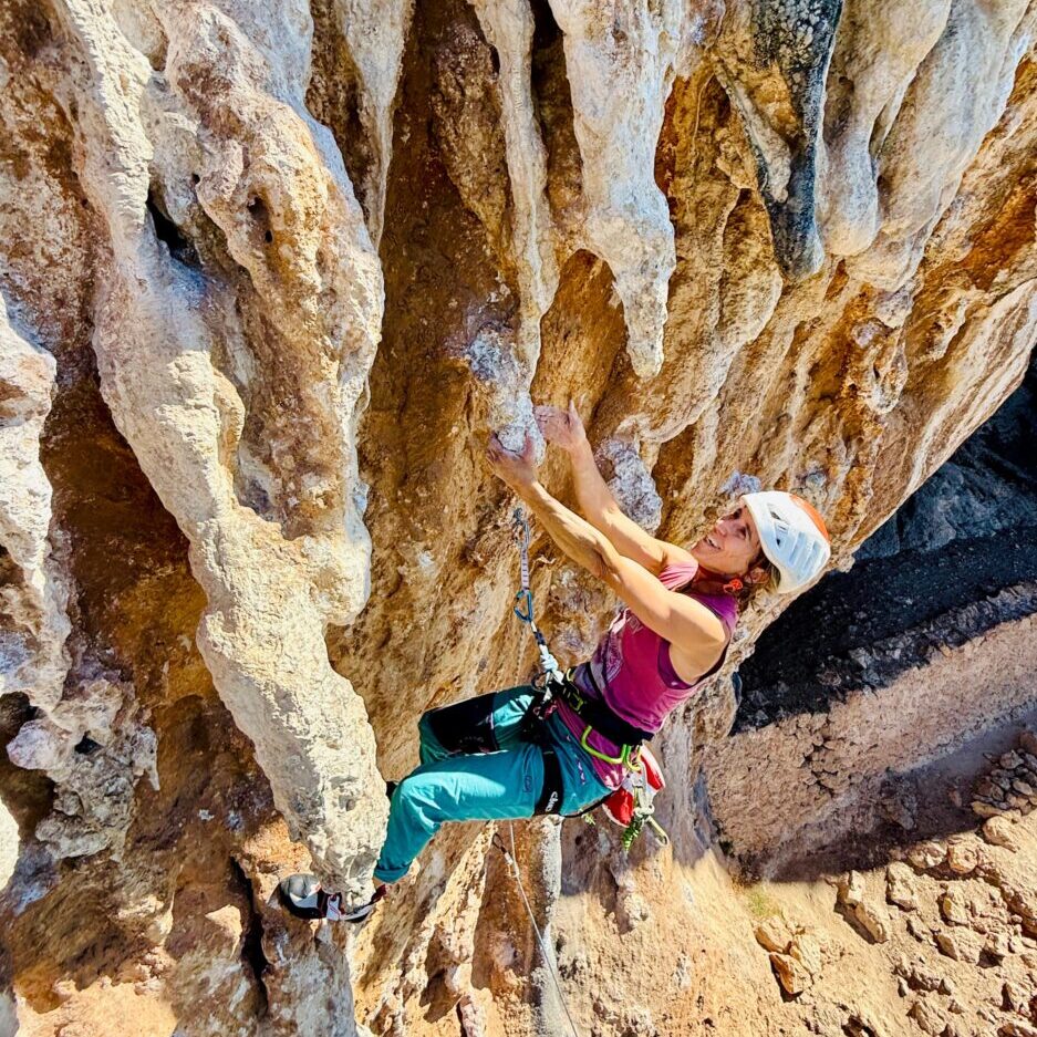 e11dd622-cee1-4999-8b17-eabce949c092 2